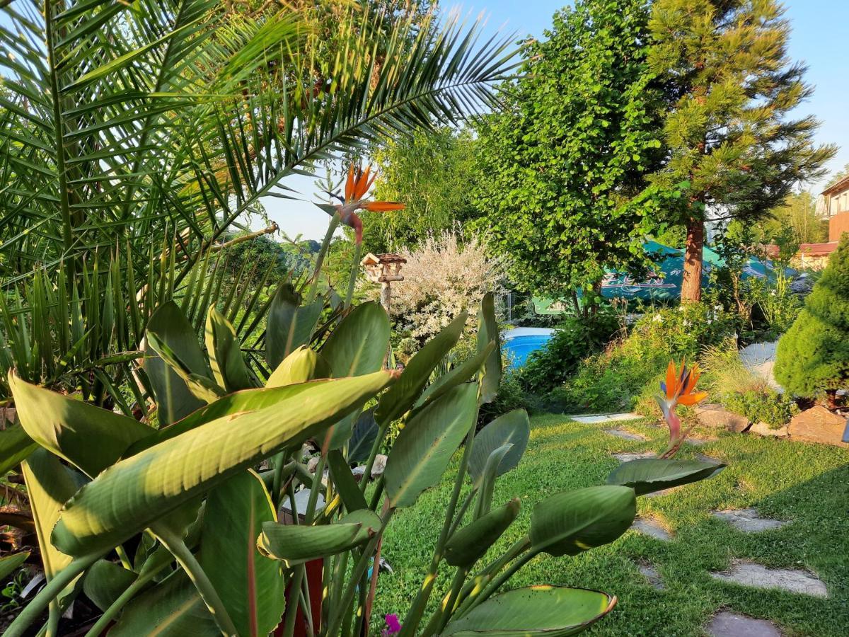 Penzion Zahrada Nad Rekou, Restaurace A Kavarna - Parkovani Gratis Zlata Koruna Bagian luar foto